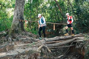 BIB: 
                            <button type="button" onclick="openModal(27745852)" class="btn btn-primary btn-sm float-right btn-popup" data-toggle="modal" data-target=".modal-high-quality">
                        <i class="fas fa-shopping-cart"></i> Add to Cart
                    </button>
                                            <button type="button" onclick="isThisMe(27745852, true)" class="btn btn-success btn-sm float-right btn-popup btn-isme hidden" data-toggle="tooltip" data-placement="bottom" title="นี่คือรูปของคุณใช่ไหม คลิกที่นี่เพื่อเอาเข้าอัลบั้ม">
                        <i class="fas fa-plus"></i> Add to album
                    </button>
                    <button type="button" onclick="isThisMe(27745852, false)" class="btn btn-warning btn-sm float-right btn-popup btn-isnotme hidden">
                        <i class="fas fa-ban"></i> Remove from album
                    </button>